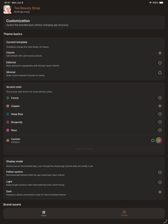 Shop appearance and branding options on iPad.